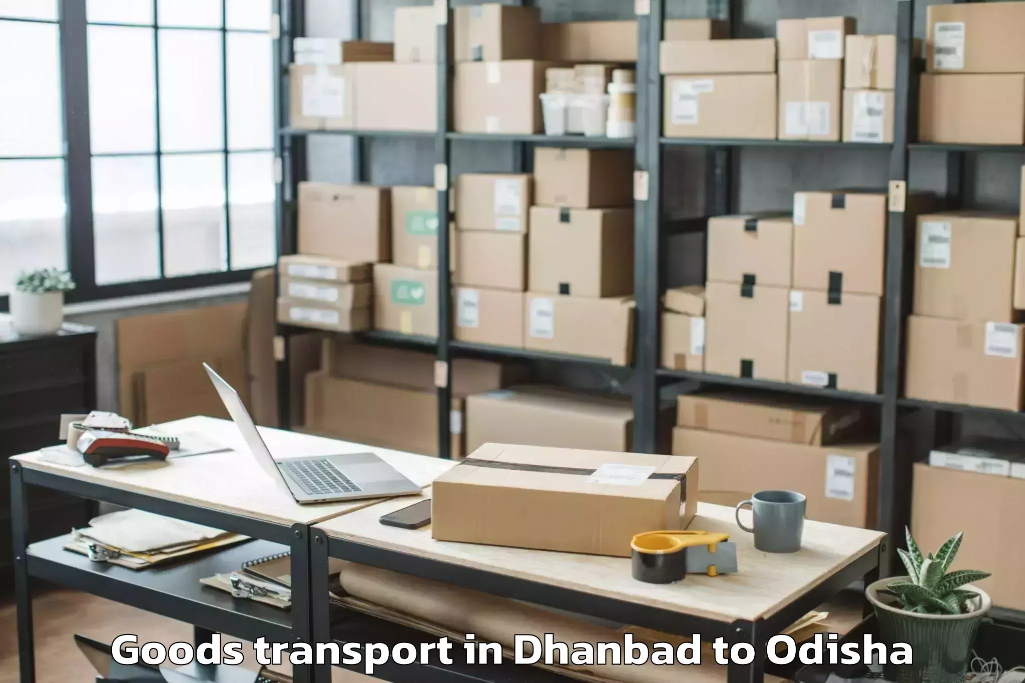 Quality Dhanbad to Mancheswar Goods Transport